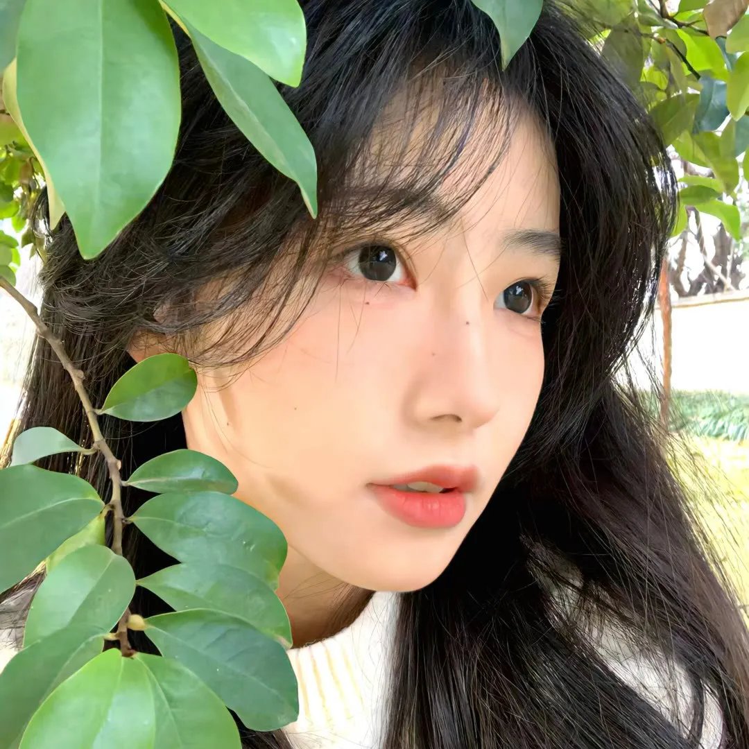 你和我的时光